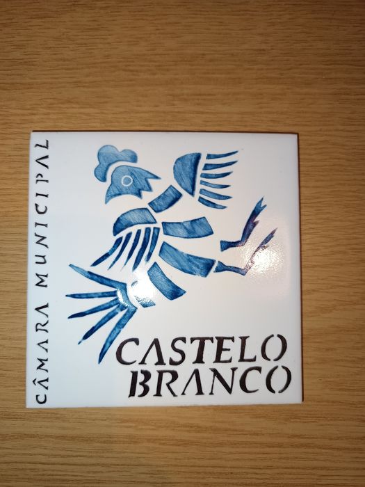 Azulejos alusivos a Castelo Branco