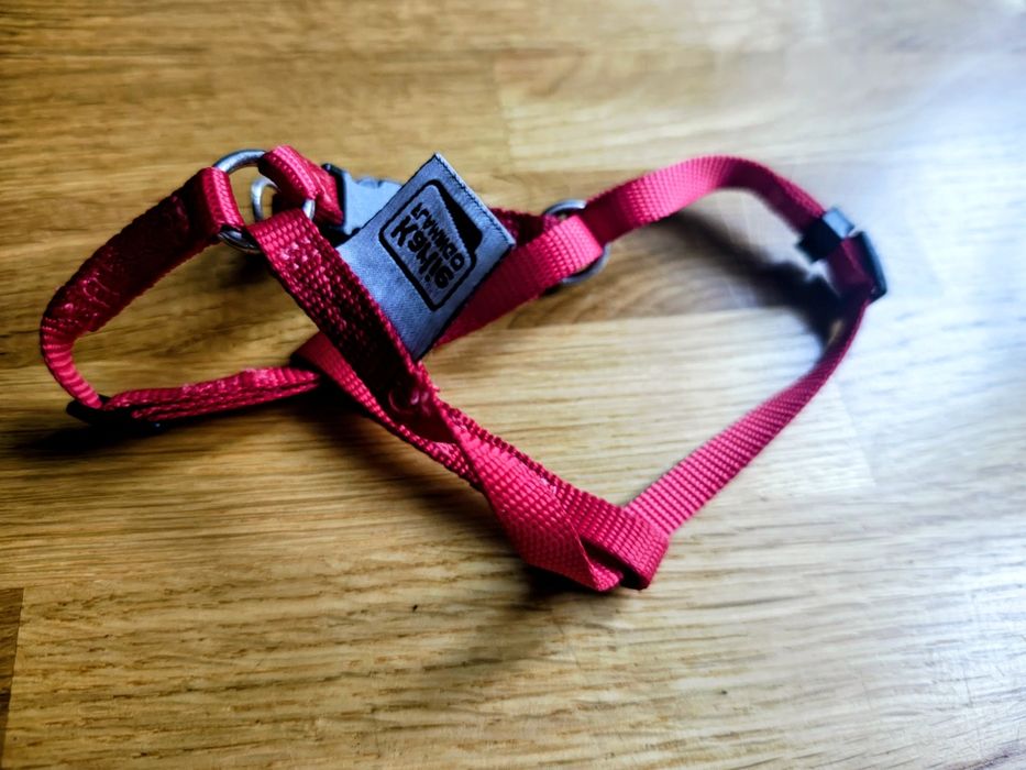 Szelki dla kota/psa xxs