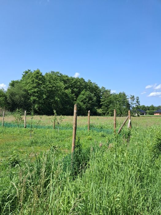 Działka  Radomyśl Wielki warunki zabudowy