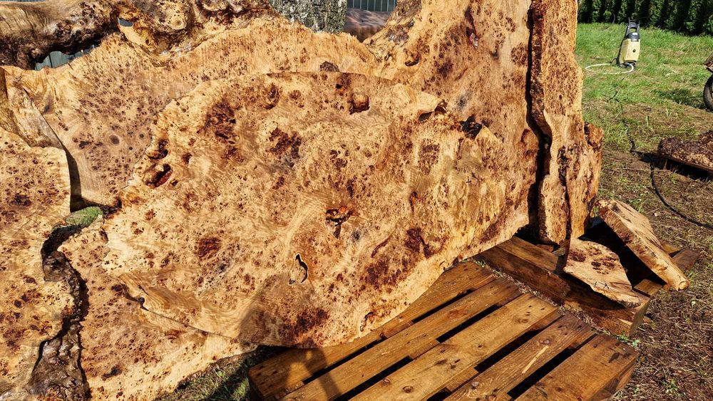 K10 54x32x4,5 czeczota monolit blat decha plaster żywica lite drzewo