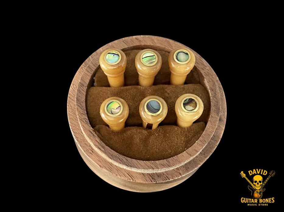 Set Pins Pestana Rastilho osso camelo para Guitarra