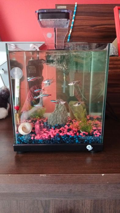 Aquarium Set JK-A221