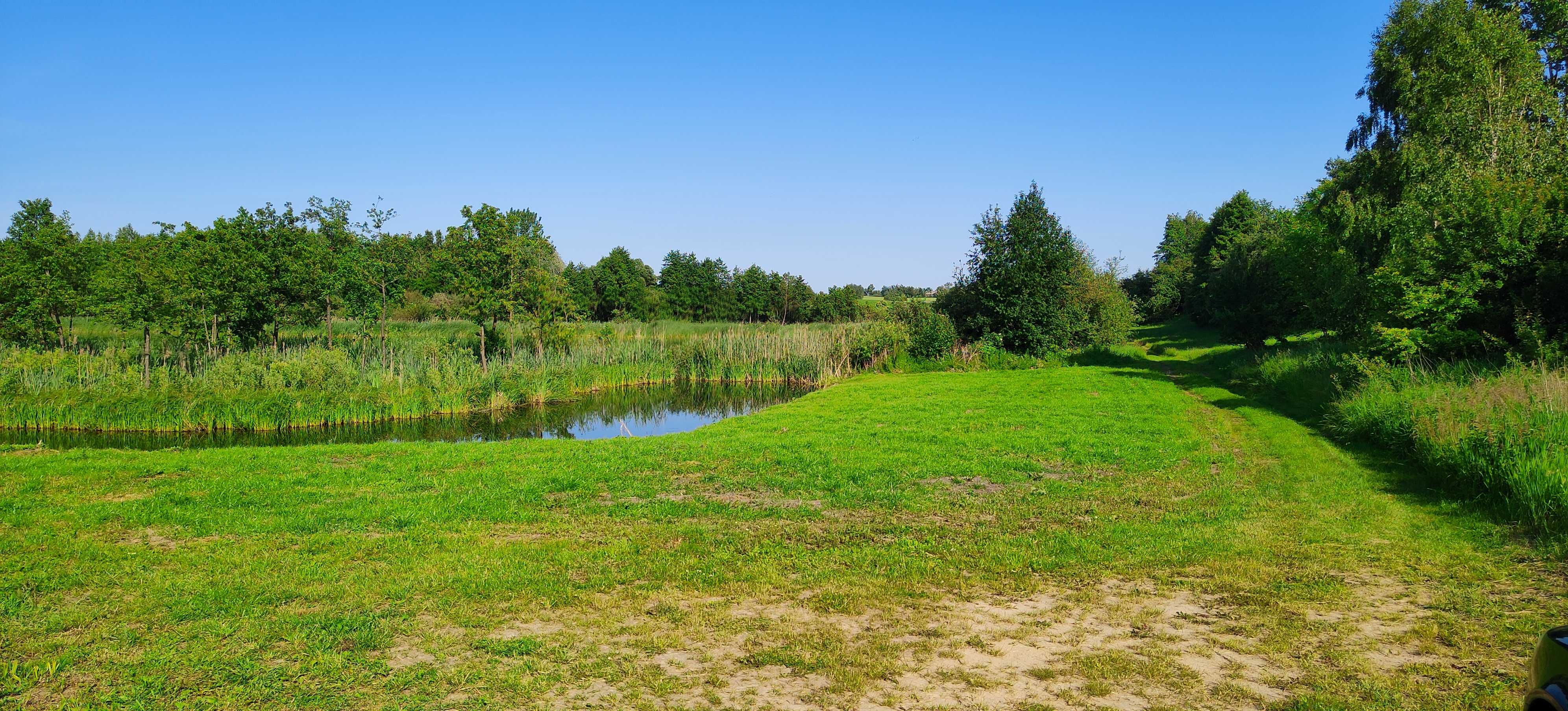 Działka 35a z linią brzegową j. Ostrowite Rypińskie