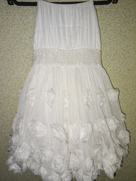 Білосніжна пишна сукня