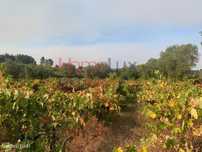 Quinta agrícola com barracão em pedra de apoio à agricultura, Lobel...