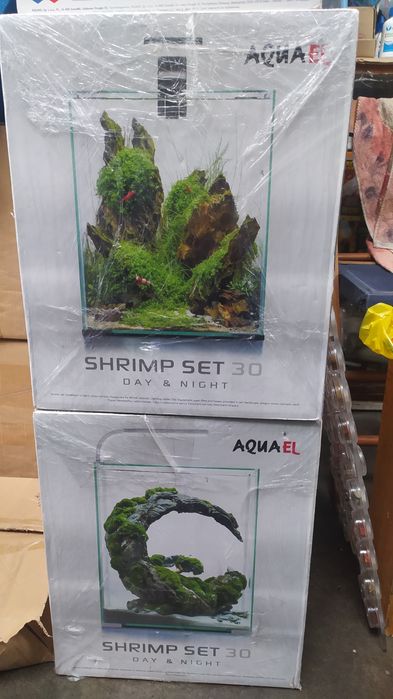 Акваріуми.           .