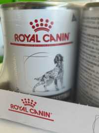 ROYAL CANIN Veterinary GASTROINTESTINAL 15 x 400 g  Długa data 25r