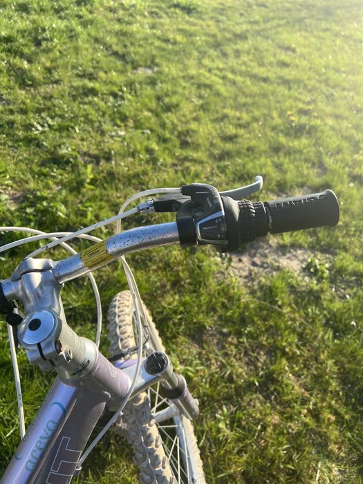Giant Rower dla dziewczynki koła 24