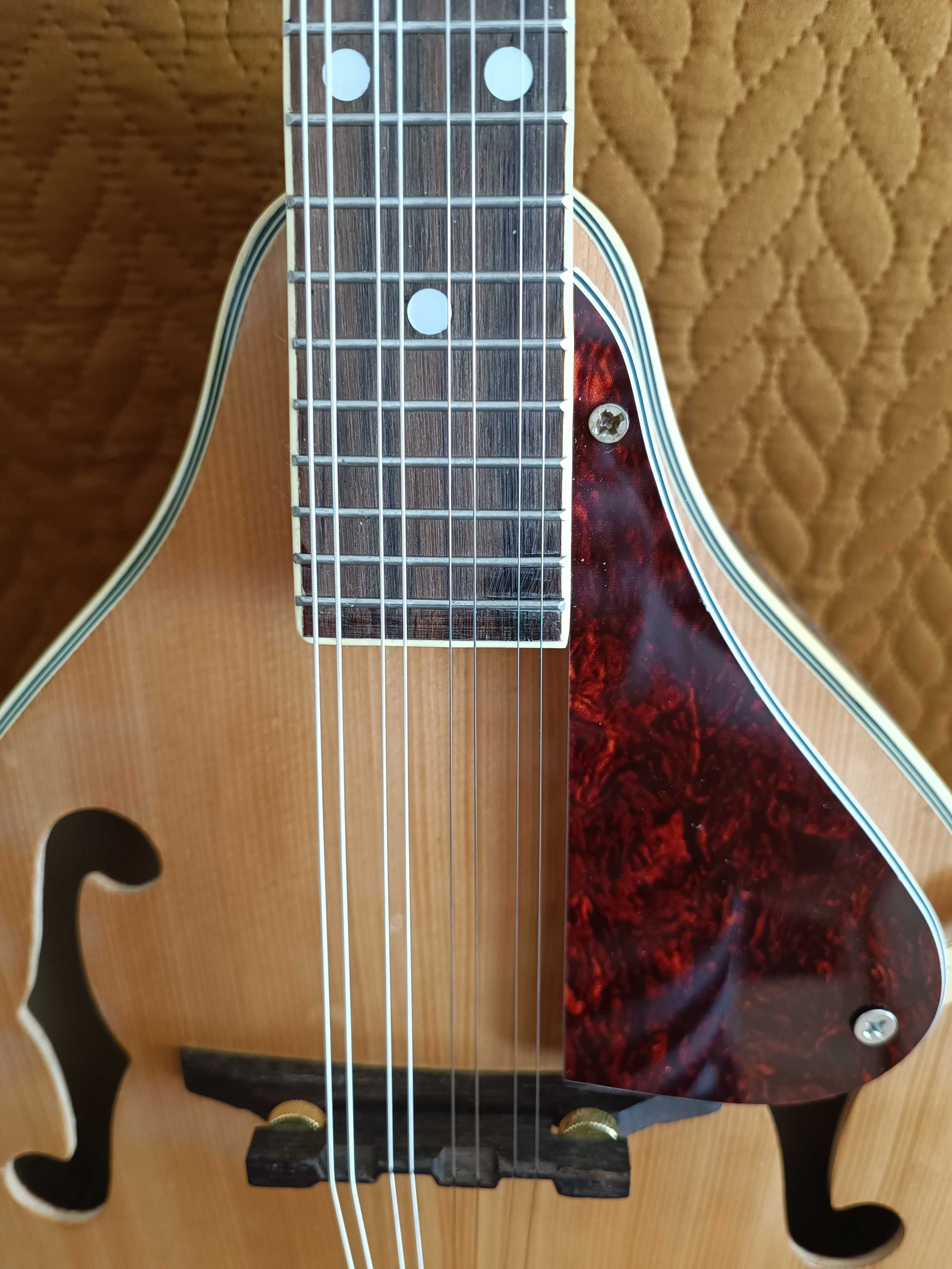 Mandolina Ibanez Classic Cantabile - okazja !