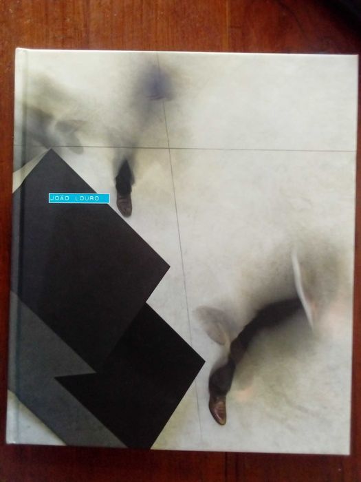 João Louro (Galeria Fernando Santos)