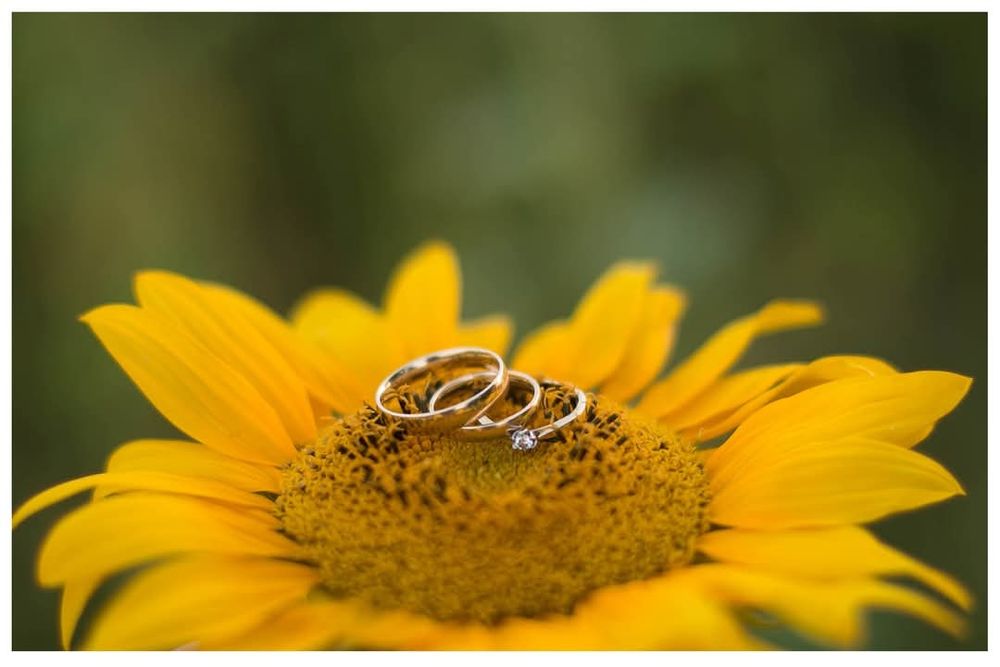 Fotograf na wesele , ślub Koszalin, Mielno, Sarbinowo