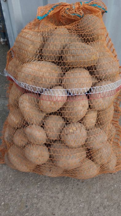 Ziemniaki jadalne z EKO Uprawy. Queen Anna. Vineta. Prosto od Rolnika