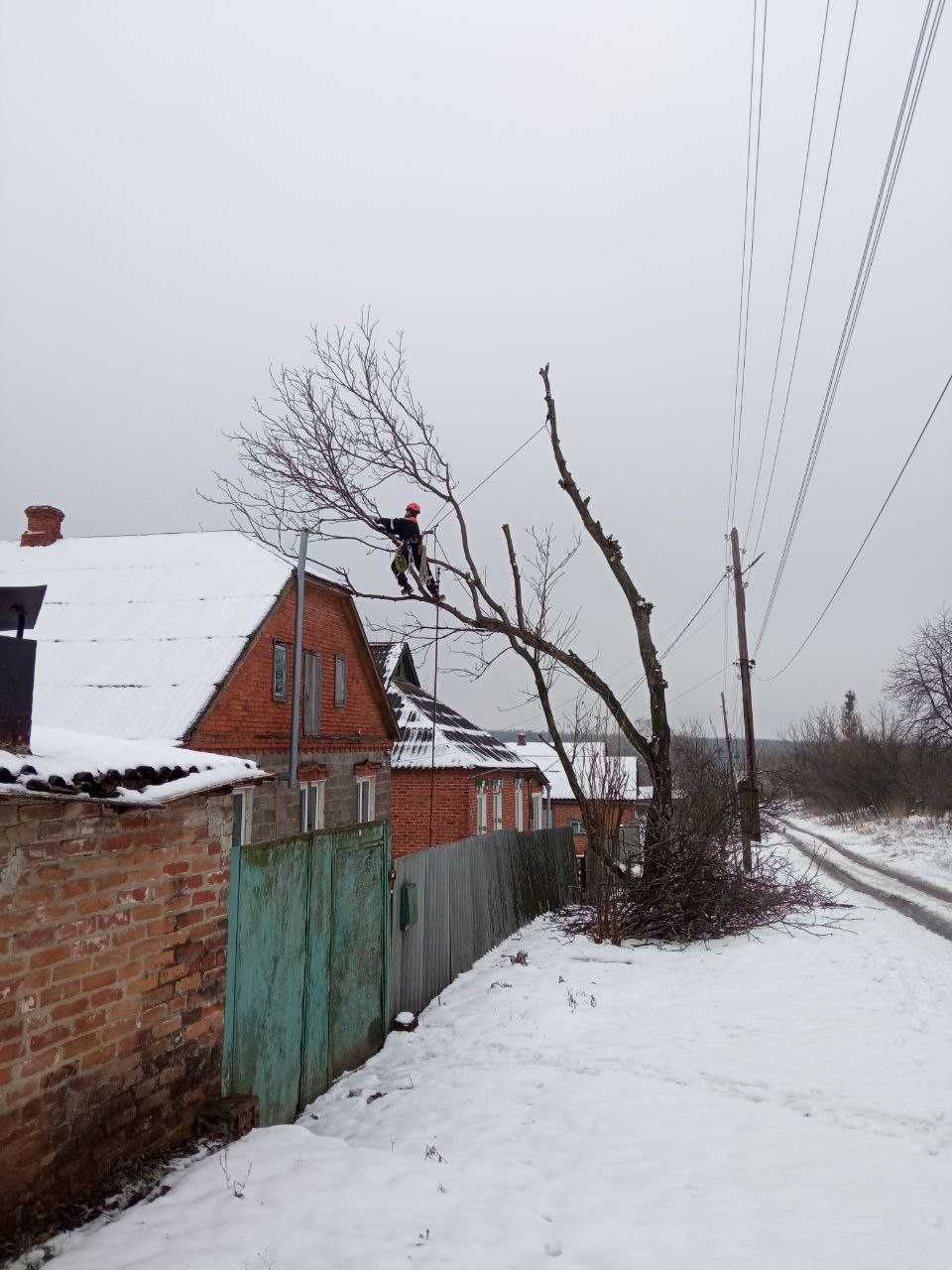 Зрізати дерево. Спиляти дерево. Обрізати дерево. Спиляти гілку