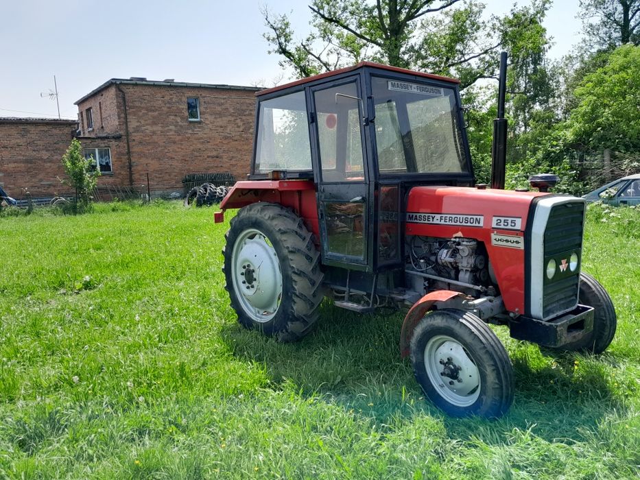 Massey Ferguson 255 ursus ciapek