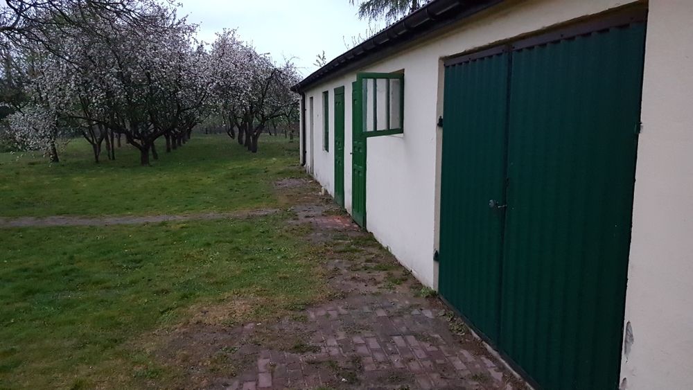 Dom do wynajęcia