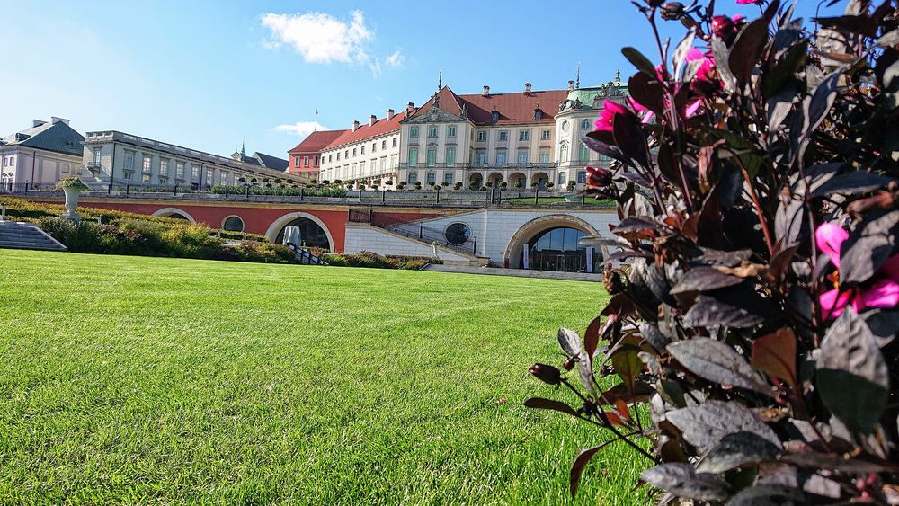 Trawa Regeneracyjna Sportowa Emeralld 10Kg Znaczny I Natychmiastowy