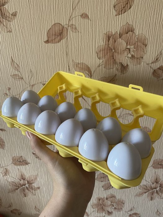 Яйца сортер