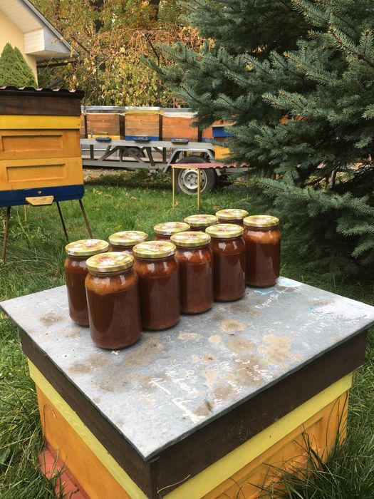 Мед  гречаний, зібраний в 2025 р ціна за 900 мл