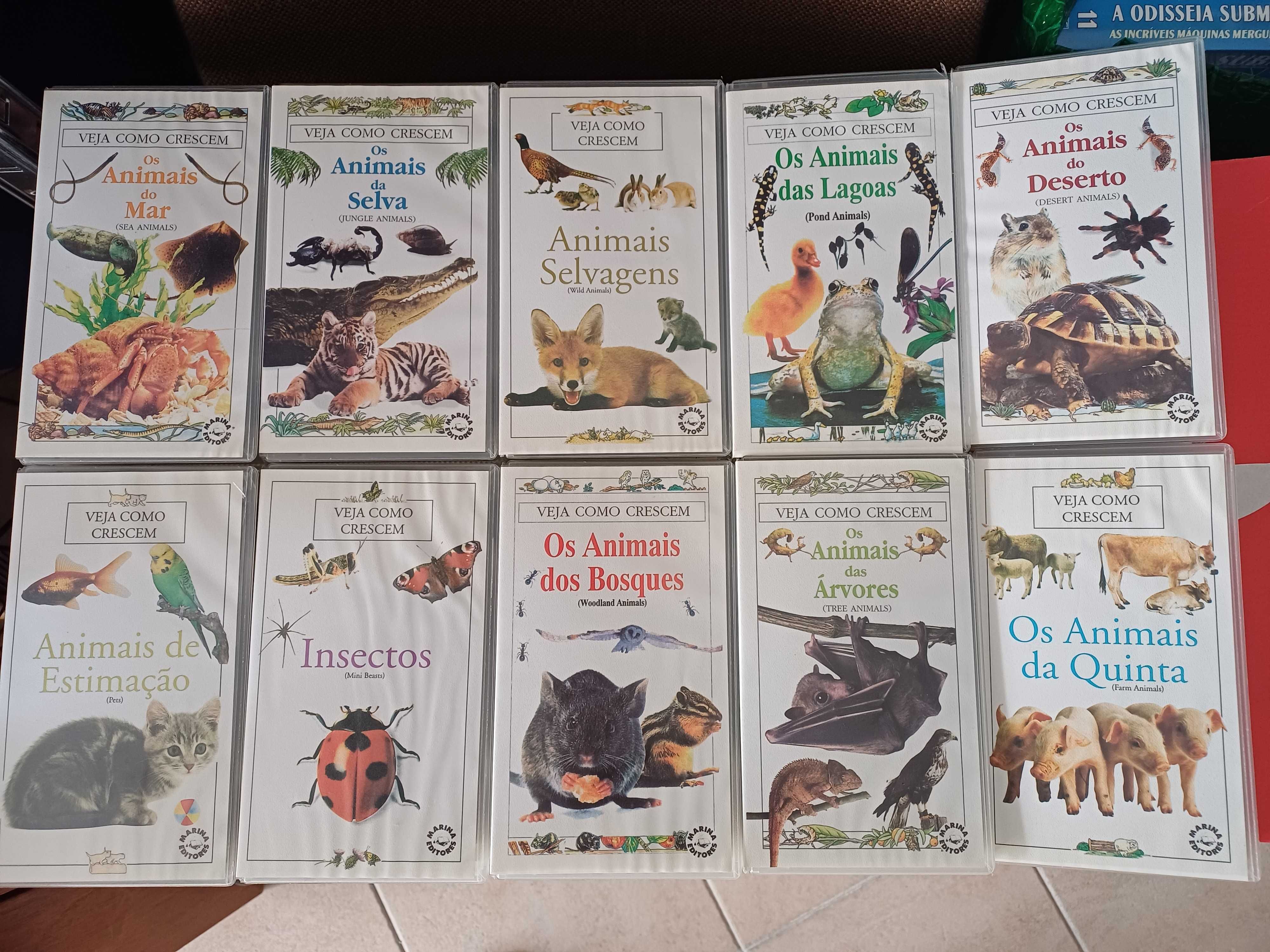 VHS's de filmes, banda desenhada, documentários 250 unidades