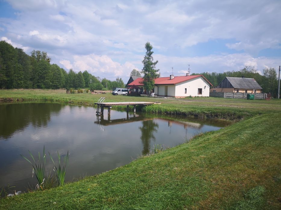 Kwatera noclegi wynajem (dom ,kwatera,Kozienice)