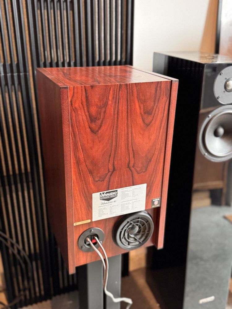 Dynaudio MSP 80 koumny podstawkowe
