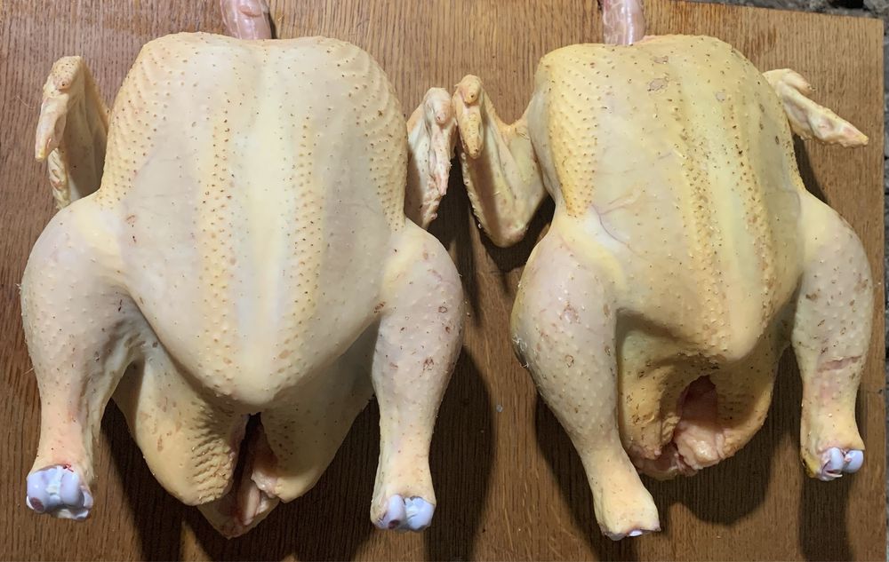 Продам тушки домашнього бройлера