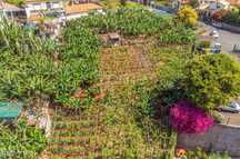 Terreno em Santo Antonio (Funchal) com 1770 m2
