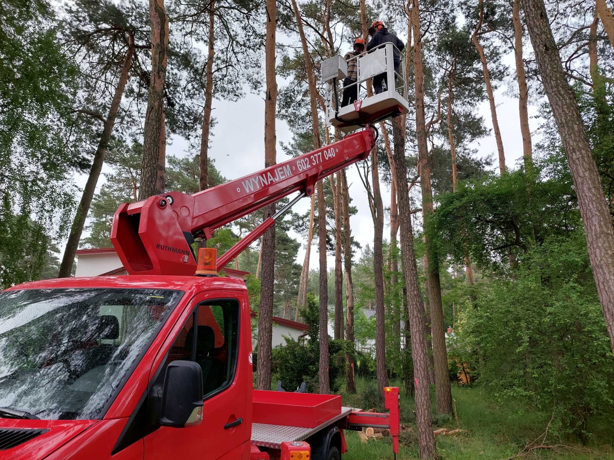 Podnośnik koszowy , 22m, Warszawa . wycinka drzew.//zielonausługa.pl//