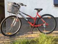 Rower author vectra
