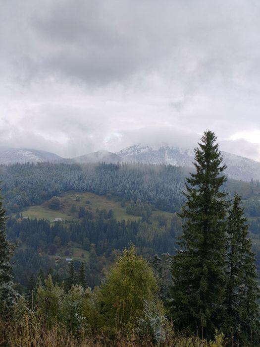 Продам земельну ділянку в с. Яблуниця Торг