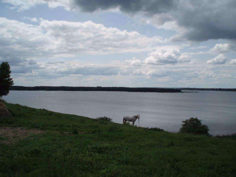 Участок 4,75 га, ОСГ, Ровенская обл, Хрінницьке водосховище