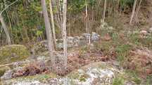 Terreno em Armil, Fafe