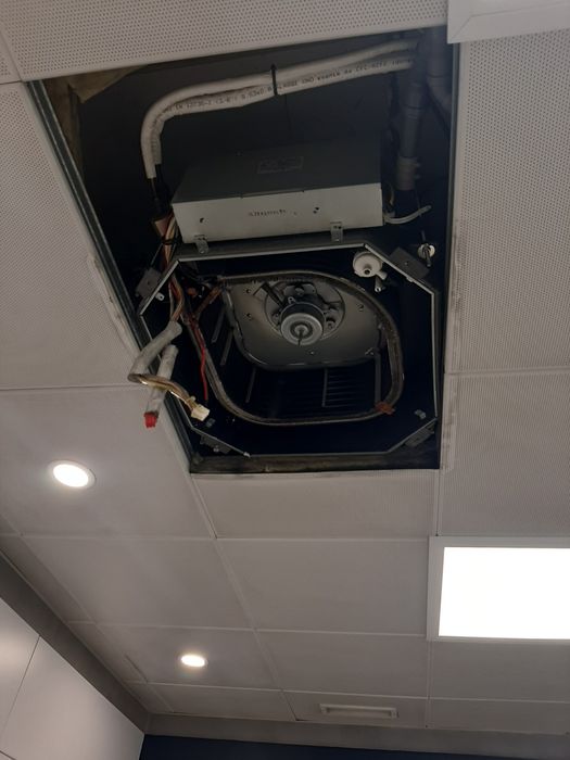 Higienizacao e desinfecção