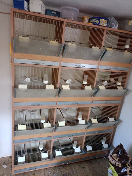 Klatki regał dla kanarków