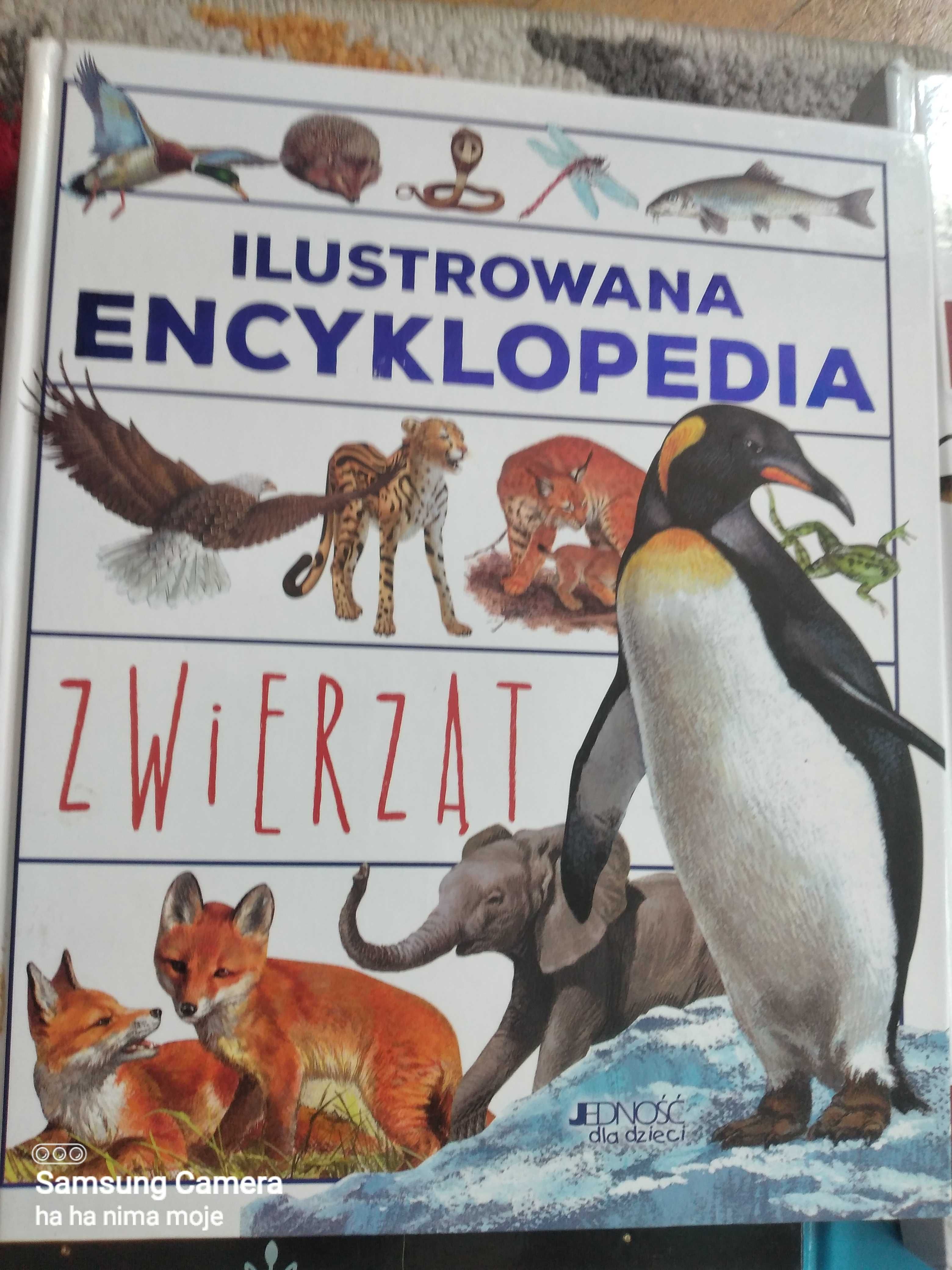 Ilustrowana encyklopedia ZWIERZĄT wydawnictwo jedność dla dzieci