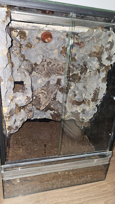 Terrarium szklane pionowe tropikalne