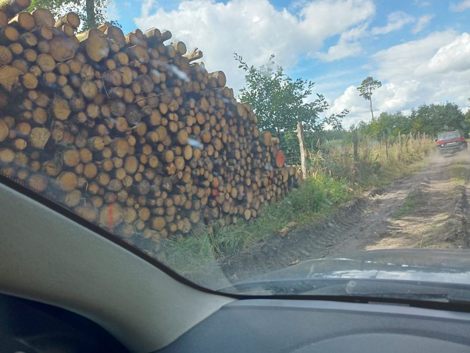 Drewno opałowe.. transport gratis!!!