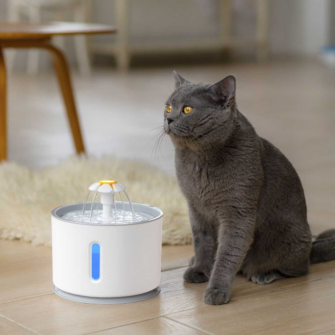 Fontanna oświetlenie LED dozownik do picia psy koty 2.4 l + 5 filtrów