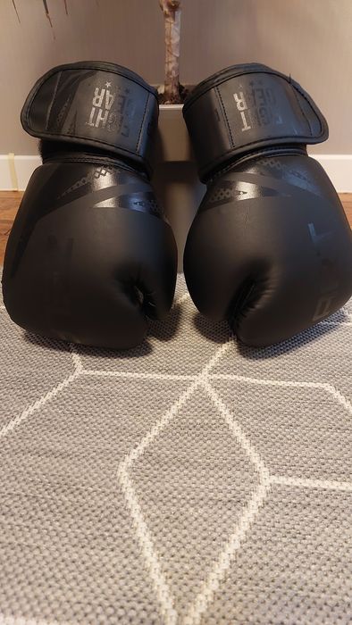 Боксерські перчатки Zelart 10oz