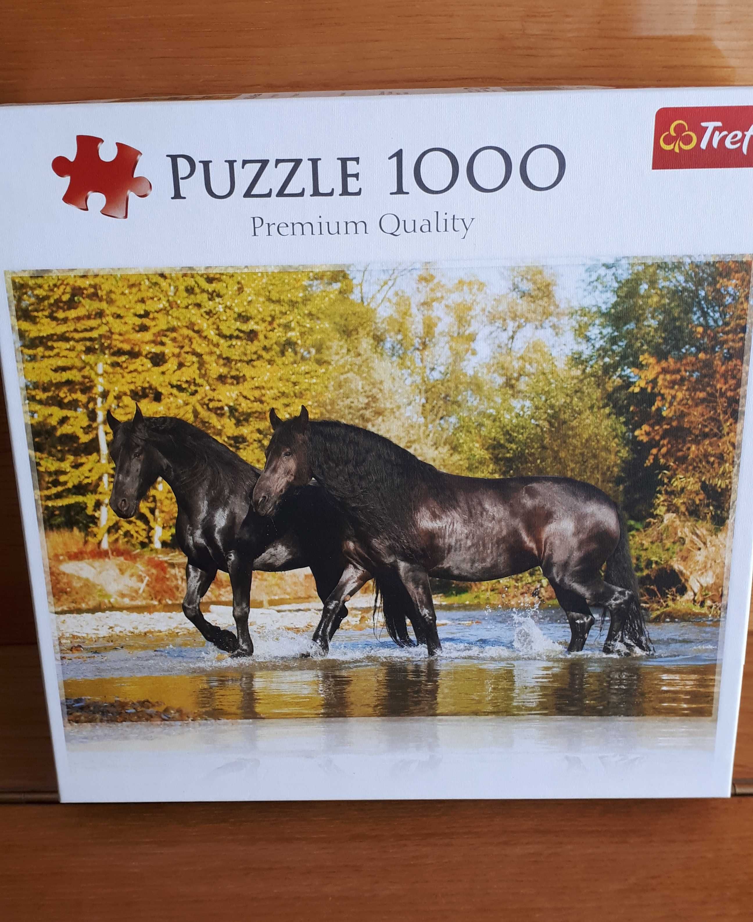 puzzle 1000 elementów