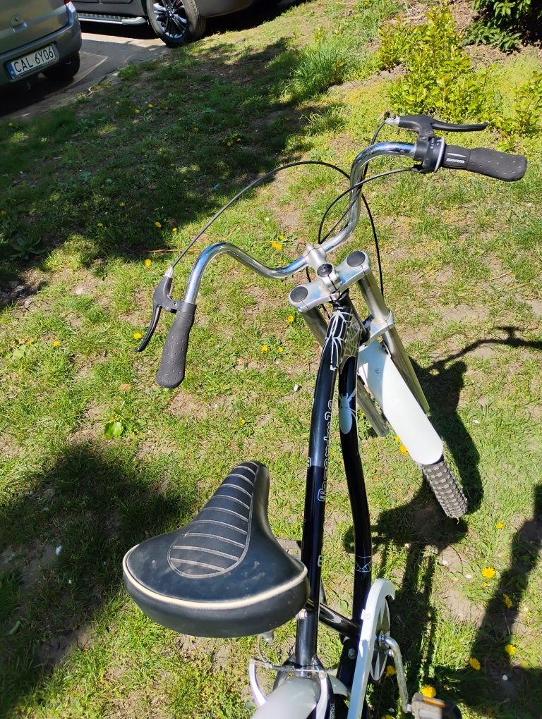 Rower typu Harley