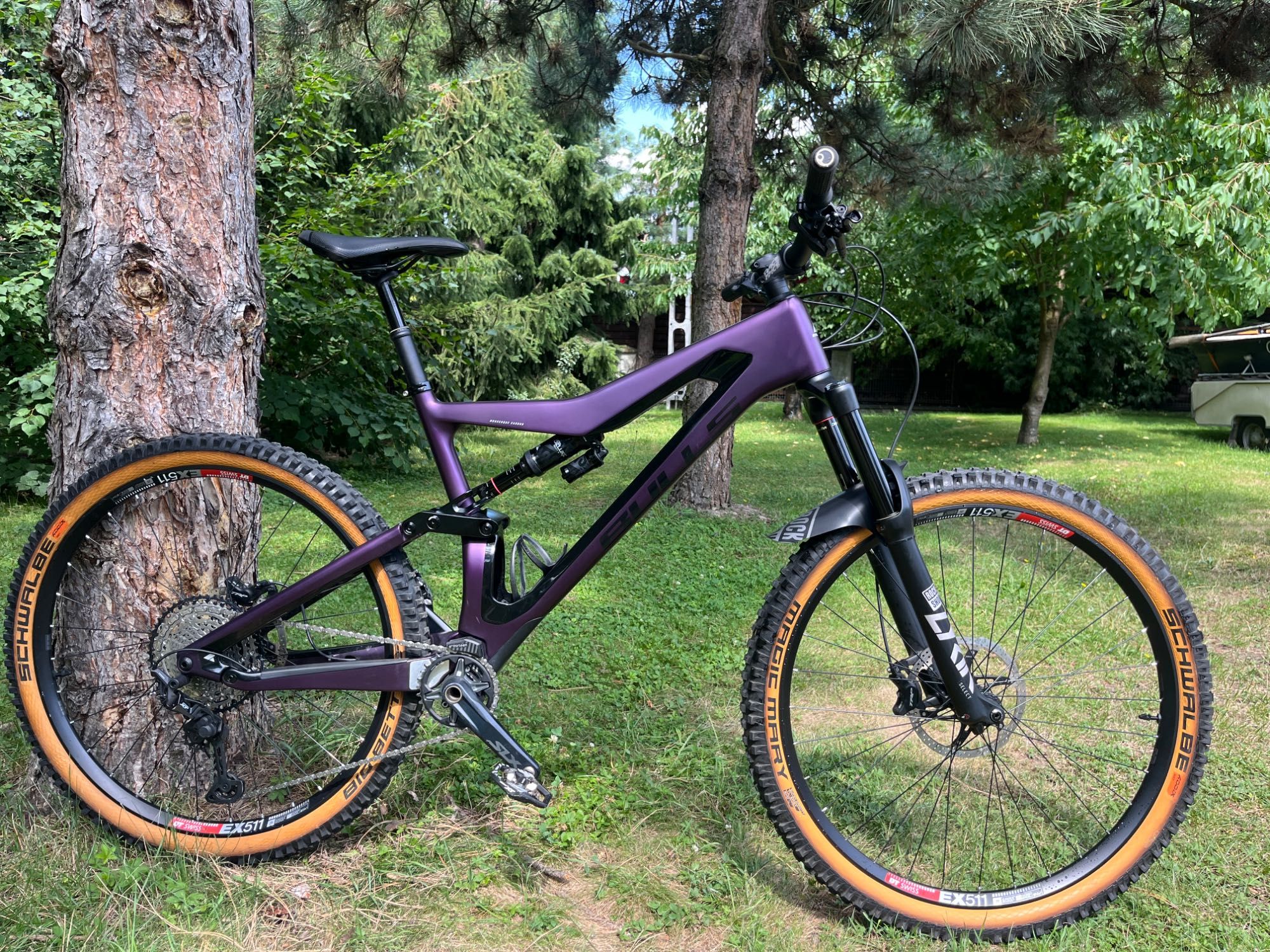 Bulls Wild creed RS XL 29”