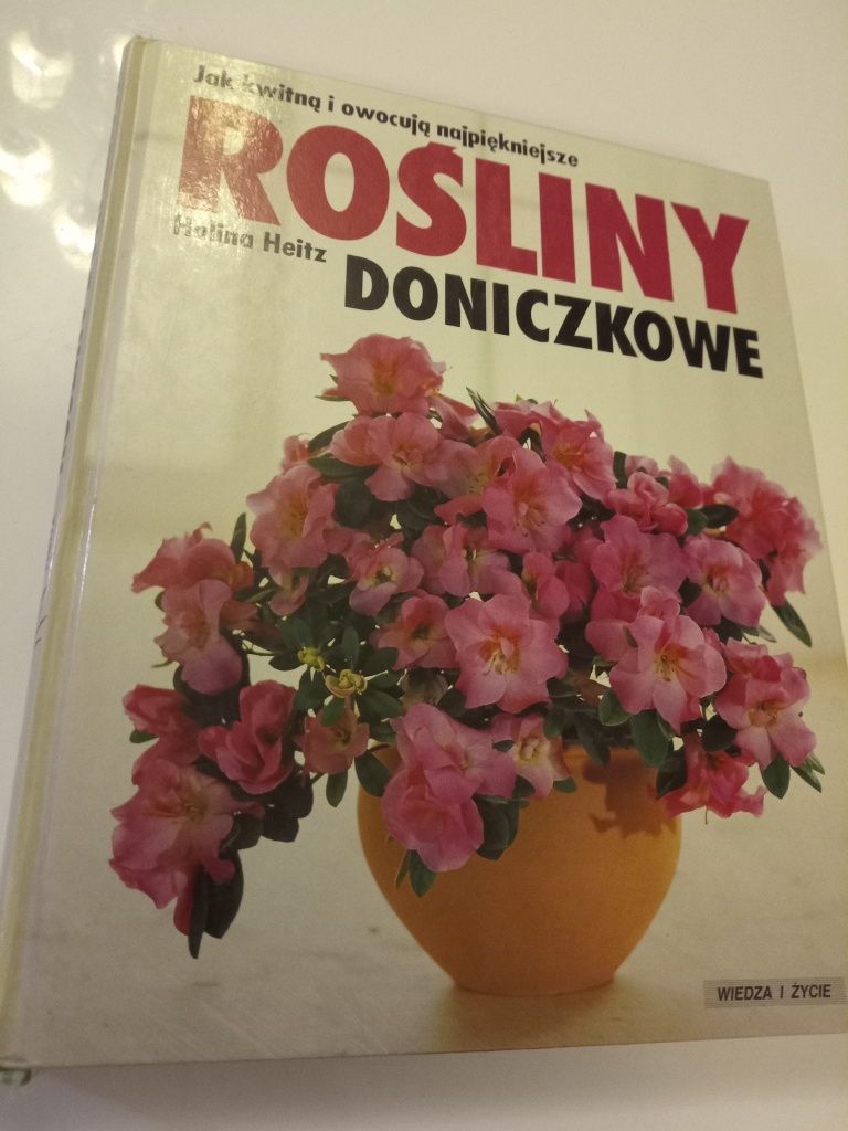 Jak kwitną i owocują najpiękniejsze rośliny doniczkowe