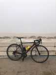 Scott addict RC