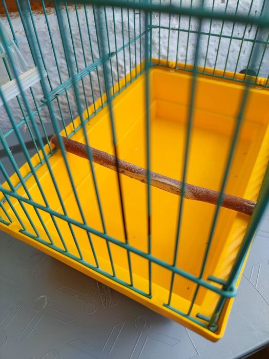 Продам клетки для домашних птиц .