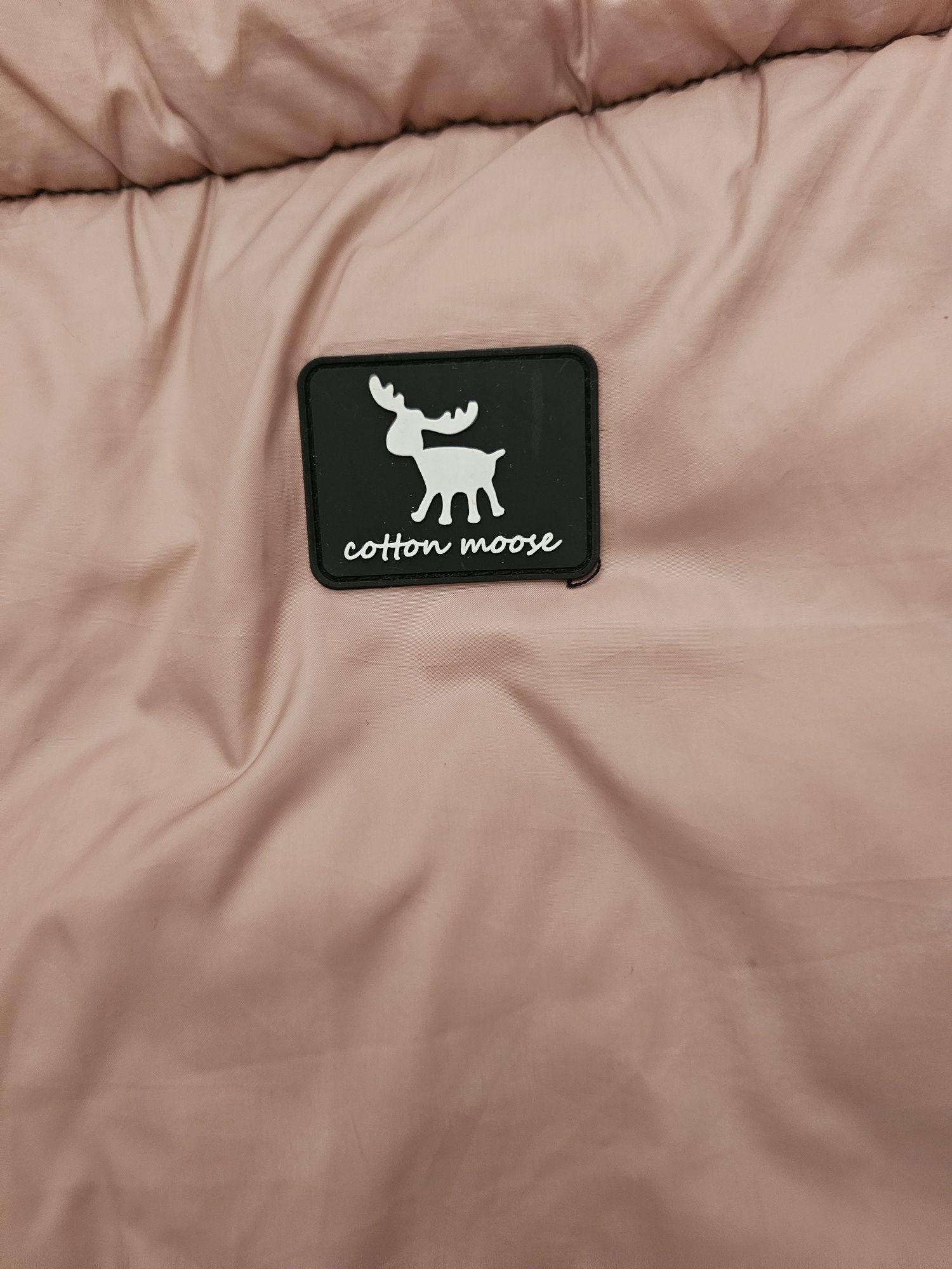 Spiworek cottonmoose