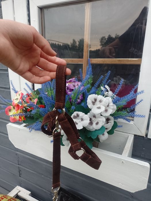 Ogłowie bezwędzidłowe na hobby horse a3