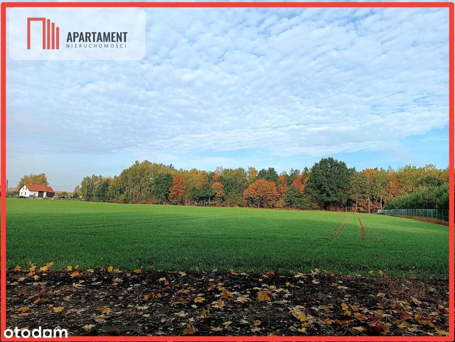 Cicha okolica, przy ścianie lasu!