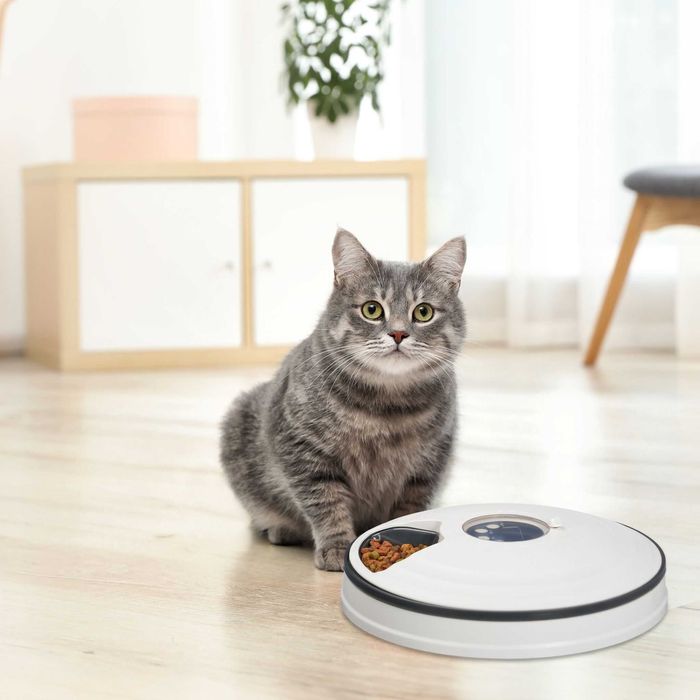 Automatyczny Podajnik Karmy Dozownik dla Kotów Automat do Karmienia