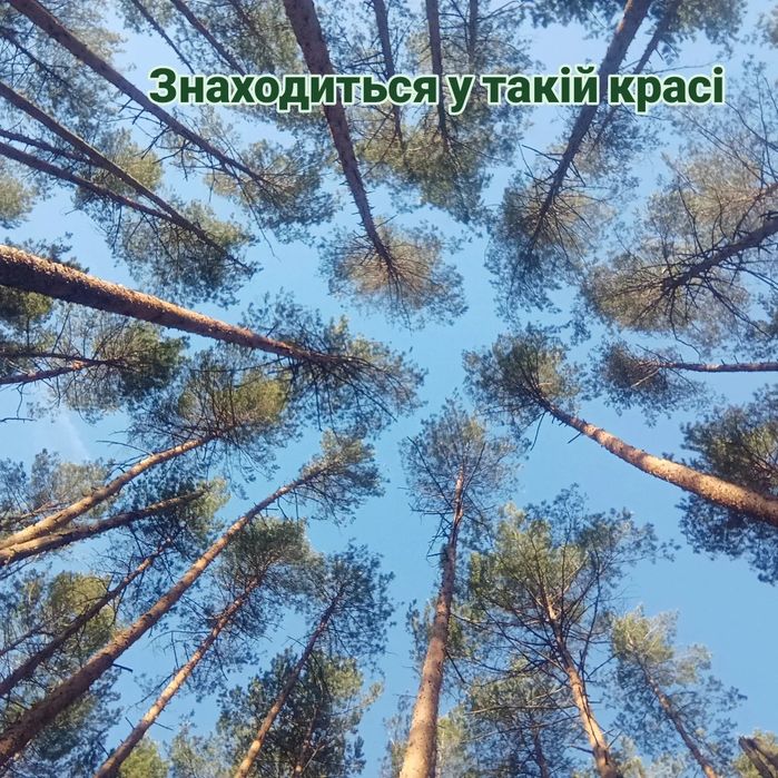 Журавлина, клюква, брусниця сира без цукру, варення з журавлини з Карп